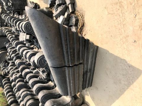 点击查看详细信息<br>标题：吻兽 阅读次数：1135